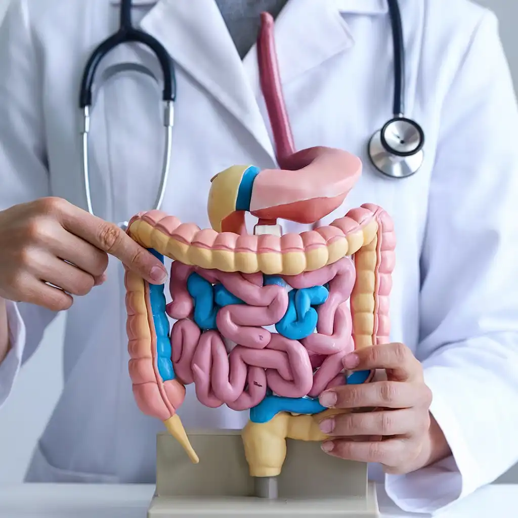 Best Obstetrician in Tambaram